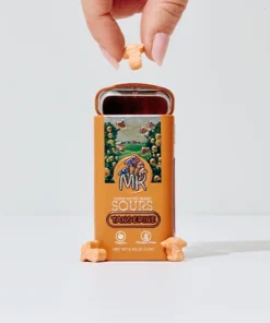 Magic Kingdom Mushroom Mints
