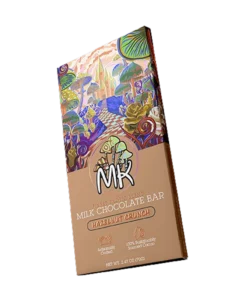 MK Mushroom Chocolate