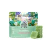 Magic Kingdom Mushroom Gummies