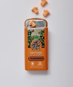 Magic Kingdom Mushroom Mints